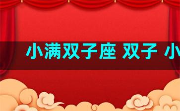 小满双子座 双子 小气